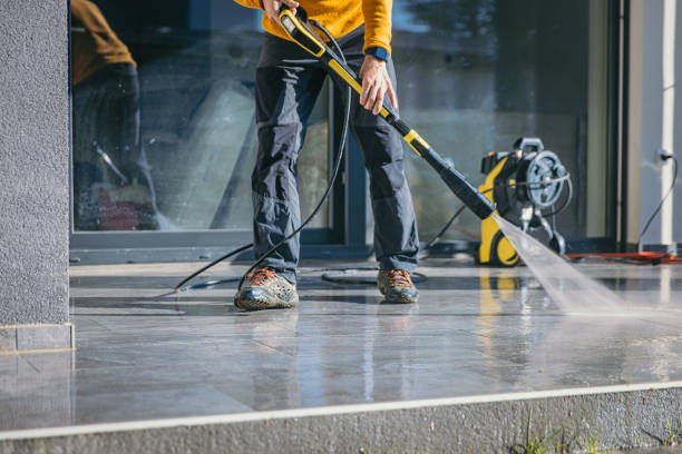 Best Building Exterior Washing  in Thomasboro, IL